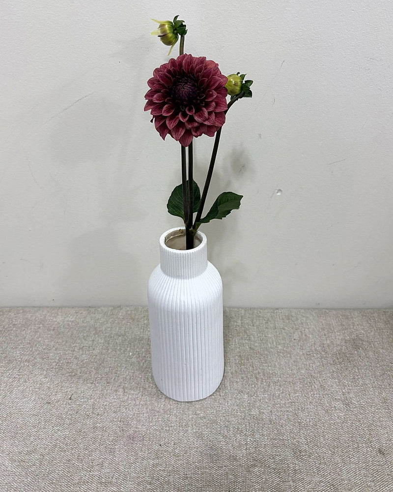 RM Smoke Show dahlia
