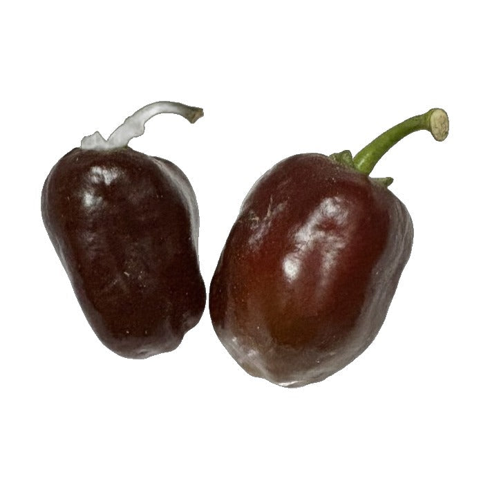 Swiss Chocolate Habanero