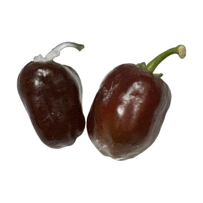 Swiss Chocolate Habanero