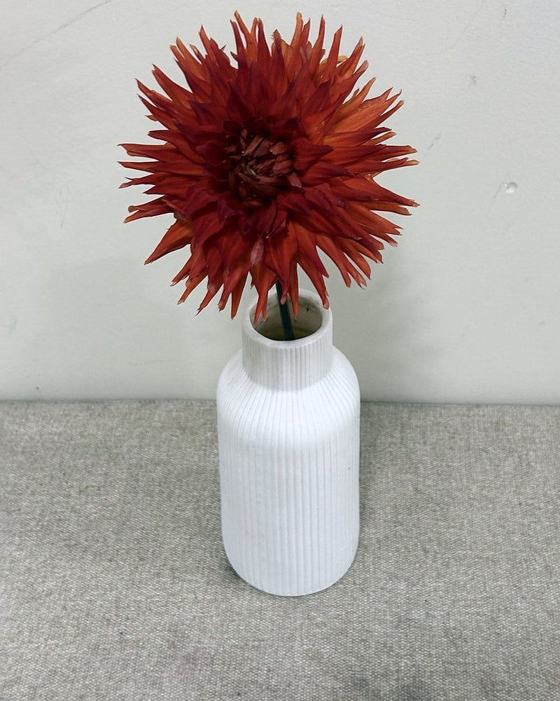 Vesuvius dahlia