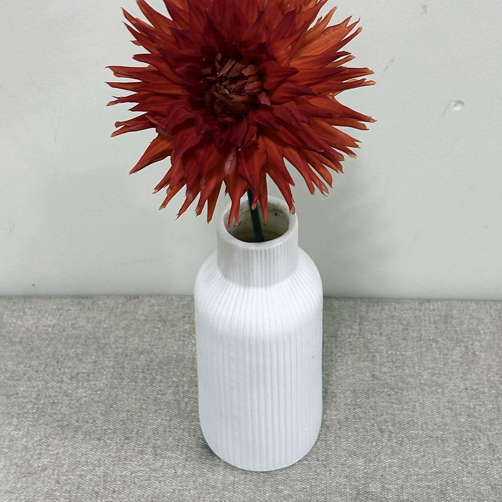 Vesuvius dahlia