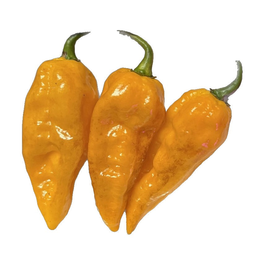 Yellow Mutant